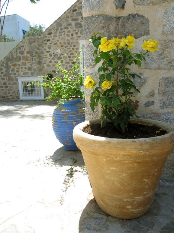 Kiki'S Houses Vlichos Đảo Hydra Ngoại thất bức ảnh